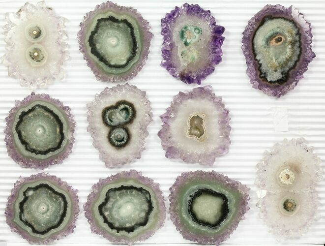 Lot: - Amethyst Stalactite Slices ( Pieces) #76642